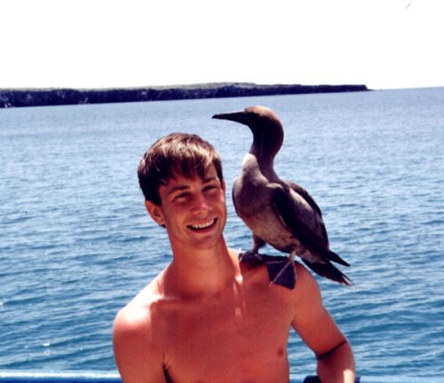 rhamphotheca:  I’m going to post this random picture of a hot guy in the Galapagos with a Brown Booby on his shoulder for reasons… science reasons, and stuff. 