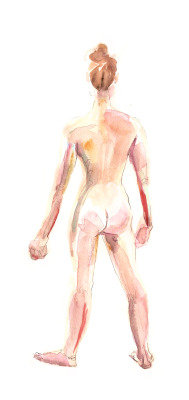 fanny-hs:  watercolors from morphology class