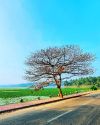#lakeside #tree #morningvibes #rideout #vellayanilake #bluesky #kerala (at Vellayani Lake)https://www.instagram.com/p/CLyHWCfg8PY/?igshid=le1ypp2q7tk7