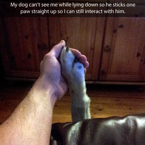 tastefullyoffensive:  [via]