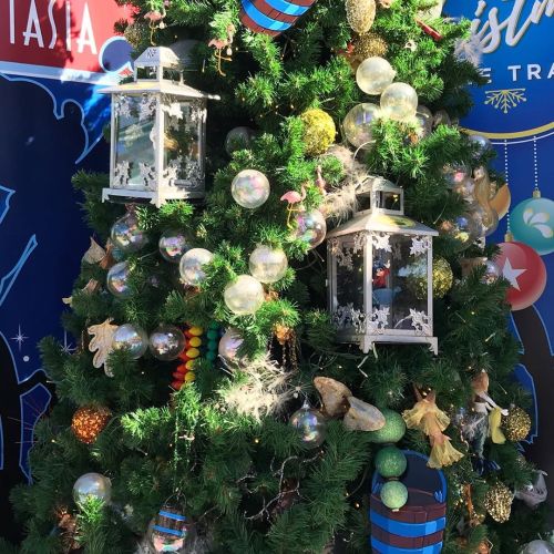 Fun at the Christmas tree trail. #christmastree #disneyworld #disneysprings www.instagram.co