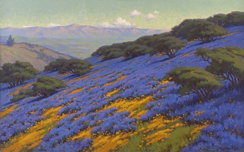 thunderstruck9: John Marshall Gamble (American, 1863-1957), Poppies and lupine, Santa Barbara. Oil o