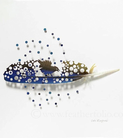 shadesofmauve: ursulavernon: jedavu: Feather Art by Chris Maynard Jesus H. Frogsnoggler. This artist