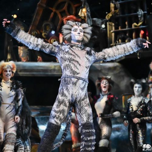 junkyard-gifs:Thomas Inge in his debut (for the 2020 Asia tour) as Munkustrap, 7 February 2021. Imag