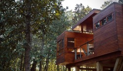 utwo:  Modern Treehouse© coldwater gardens