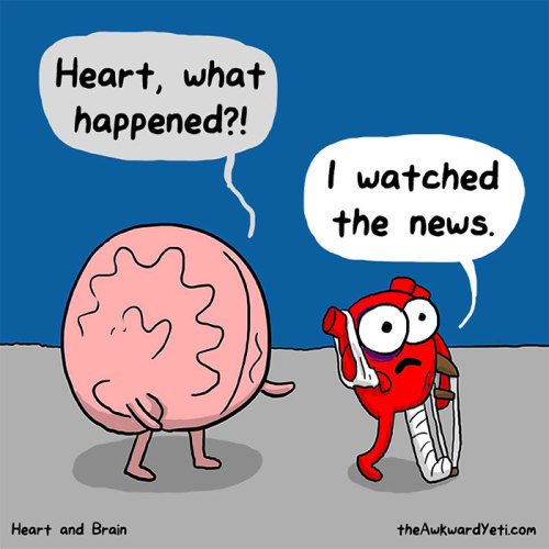 primacdonaldsgurl:boredpanda:Heart Vs. Brain: Funny Webcomic Shows Constant Battle Between Our Intel