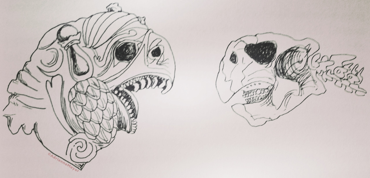 big bones don’t lie - griffins