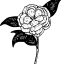 cameliawrites