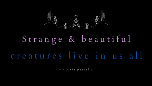 strange & beautiful~victoria pettella