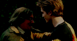 Harry Potter Meme [1/3] Deaths: Cedric Diggory (June 24, 1995)