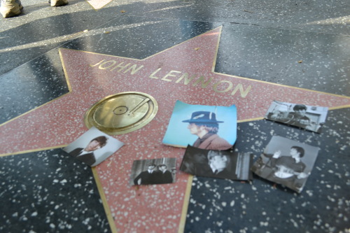 too-stoned-to-remember:  tehbeatles:decorated each beatle’s walk of fame star with some of my favorite photos from them today  …o,OMG is that my “i look gorgeous in hi def” gif omg