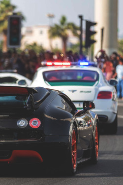 johnny-escobar:  Bugatti Veyron x Bentley CGT Police Car 