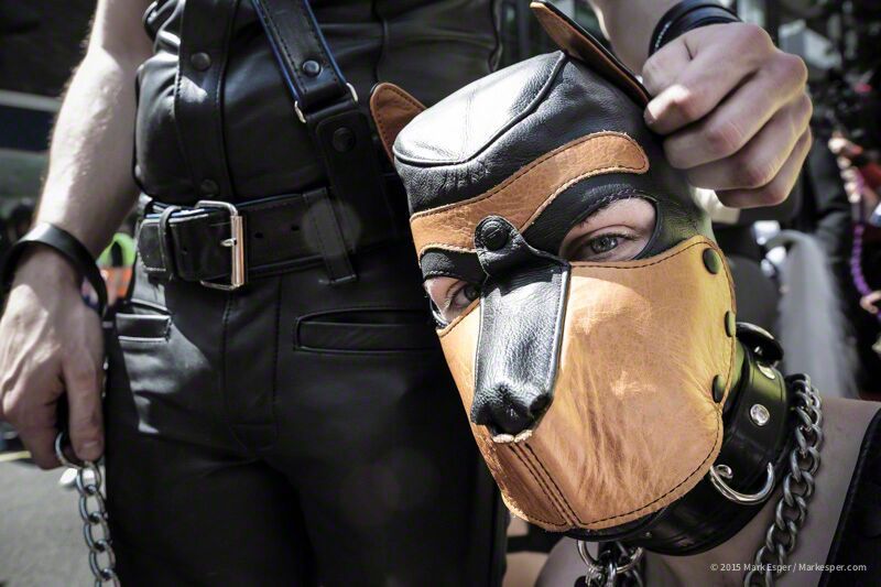 puppiesonladders:  Pups at London Pride 2015. photos by Archimedes Alpha (x2), Charles