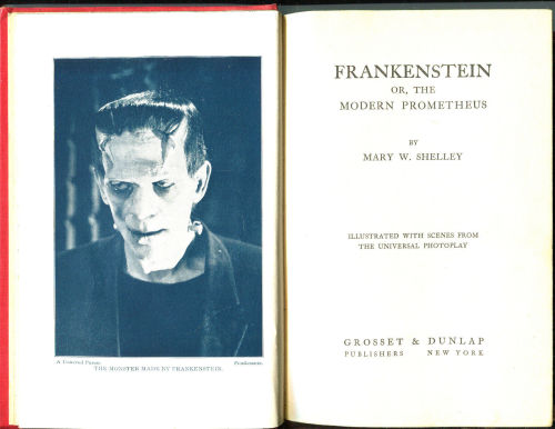 browsethestacks:
“ driveintheaterofthemind:
“ Frankenstein - Photoplay Edition (1931)
The first Photoplay edition bound in red cloth with black lettering. Illustrated with scenes from the classic Universal movie starring Boris Karloff.
”
#Books #Film...