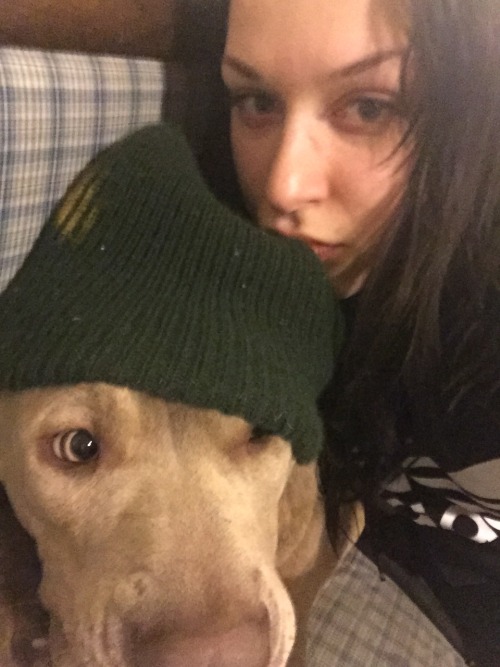 actualdogvines: Same dog as last submission, pictured in clothes (bahati, pit bull, cute) (submitted