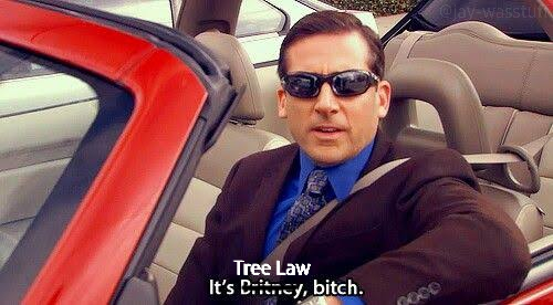 LA's Environmentalist Lawyers Pulling Up To Universal: