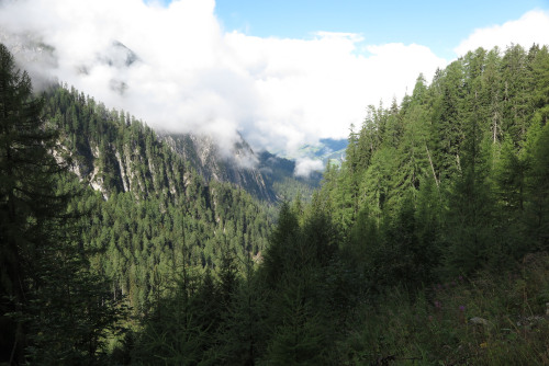 Abstieg von der Karlsbader Hütte am 19.08.2106 by pilot_micha