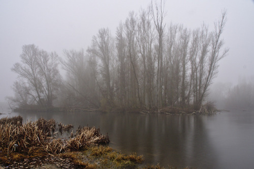 Niebla en la confluencia del Duero y el Pisuerga by aremesal on Flickr.