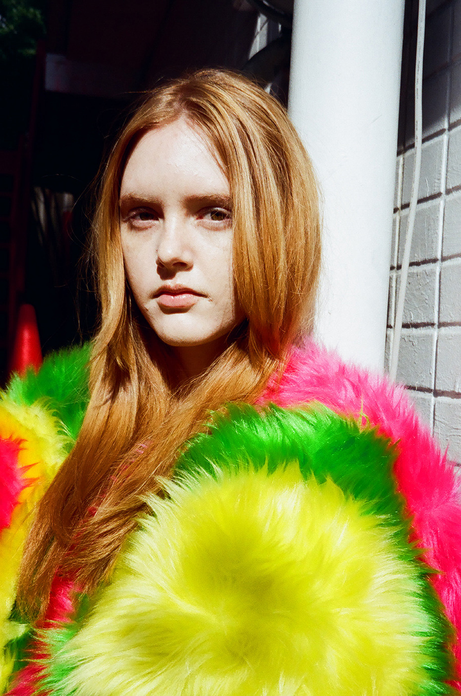 #colorful fur on Tumblr