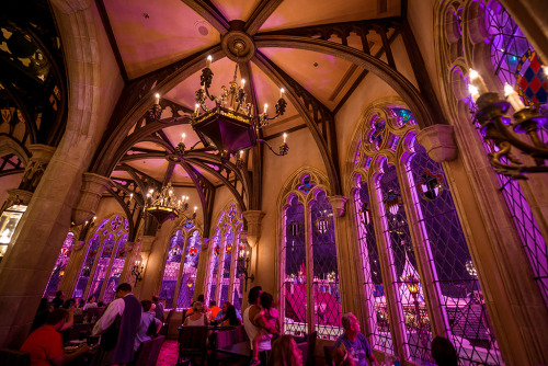 searchingforaprincess:  In just over 11 weeks, 79 days to be exact, it will be our first full day at Walt Disney World Florida and on our second evening, it is here, Cinderella’s Royal Table in Cinderella’s castle that I will be treating my very own