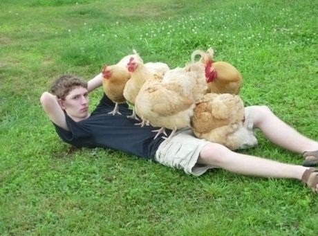 chickensgloriouschickens:  noseriouslyofficial:  Chick magnet  haha perfect 