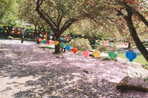 Seonam Temple  