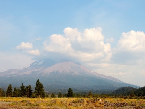 Mount Shasta on a Smoky Day With Its Summit Shrouded by Clouds, Siskiyou County, California, 2014.