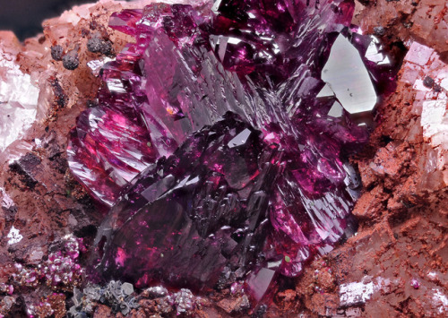 hematitehearts:  RoseliteLocality:   Aghbar Mine, Bou Azzer, Souss-Massa-Draâ Region, Morocco