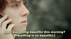 All Things Skins