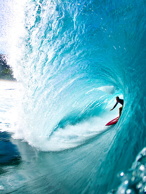 surf4living :  o'brien foto: brent Bielmann 