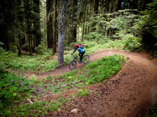 fuckyeahmountainbiking:  IMG_5518 by mattdelcomyn on Flickr.