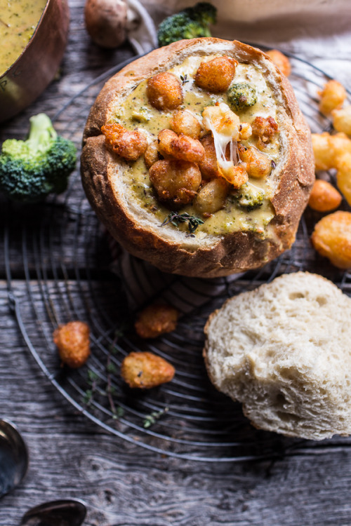 Sex sweetoothgirl:  Broccoli Cheddar Soup with pictures