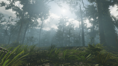 tom clancy’s ghost recon breakpoint- foggy