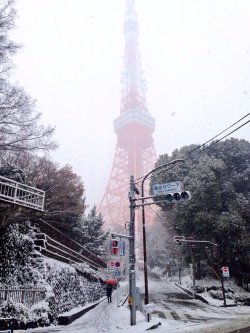 projectstreamzoo:  Outstanding!!!Tokyo looks beautiful covered in snow ❄️#coldweather #tokyo #snow #tokyotower #myview(from @MaxButler on Streamzoo) 