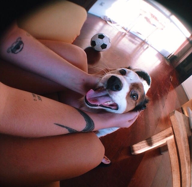 Pursuit of happiness