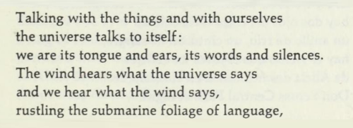 Octavio Paz, ‘A Wind Called Bob Rauschenberg’, A Tree Within (trans. Eliot Weinberger)