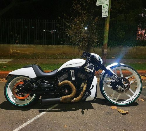 Posted @withregram • @inkd_esky Night rides #vrod #nightrod #special #1250 #bagged #26front #vancean