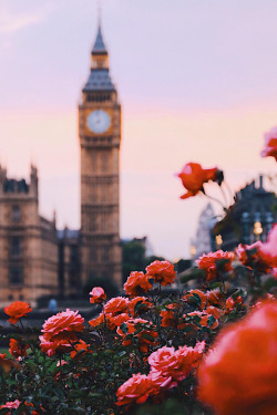 banshy: London, United Kingdom by: James