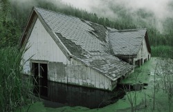 kylejthompson:Ghost Town (House) - Kyle ThompsonWent to a real flooded home in Utah for this shot.  I actually went inside and got another photo that I’ll post later.  It was so cold and gross, but was worth it!