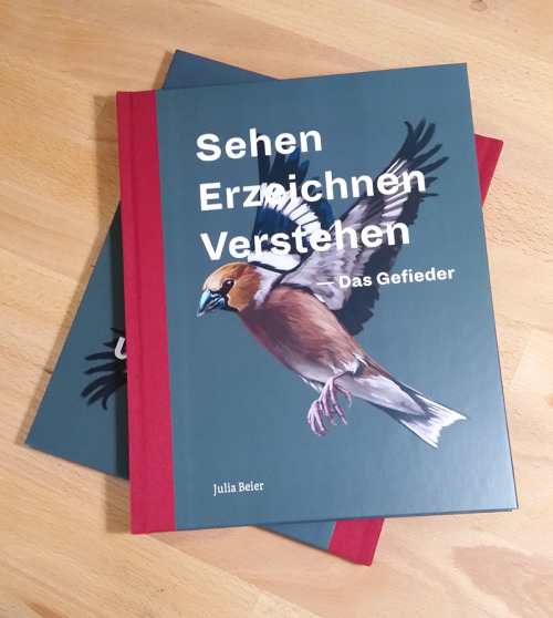 Heute sind meine BA-Bücher angekommen! :DMehr Illuserien aus dem Buch gibts hier.~My bachelor thesis