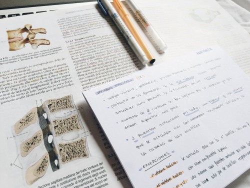 [11.18.17: Anatomy Study Session]