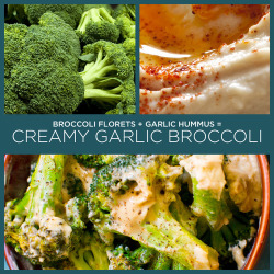 wellalwayshaveparisxo:  from-meat-to-bean:  Insanely Simple Two-Ingredient Recipes Creamy Garlic Broccoli Banana Flax Seed Crackers No Bake Energy Bars No Bake Coconut Cookie Dough Balls Onion Dip Vegan Pinkberry Peanut Butter Banana Ice Cream Oatmeal