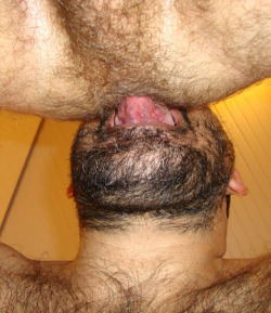 beardsbearsandotterspdx:  lizardo-c: Amo mamar culo  Woof! 😈👅💦🍆 Hairybehry@gmail.com ; KIK: Beardsbearsotters
