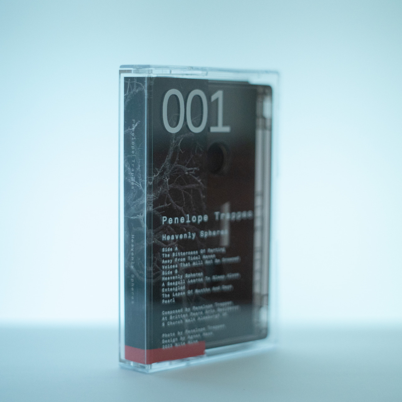 penelopetrappes:
“11 cassettes left. Album out on friday. https://penelopetrappes.bandcamp.com/album/heavenly-spheres
”