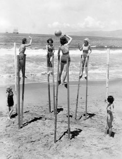  Four Young Women Elevate Their Game Of Volleyball By Playing It On Stilts. Venice,