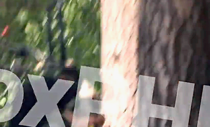 4e9c7d1a0d324a8e671e7390c077b76260602984.gifv