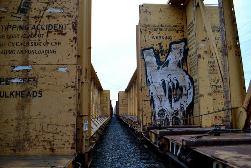 graffitical:  vidadehongo:  untitled by huntingtherare on Flickr.  Mecro