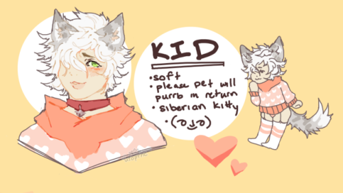 kitty boy for a furry friend