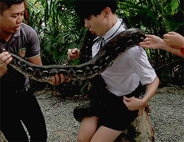 monchims:the things hoseok puts up with for bts