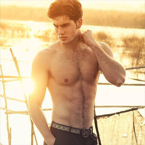 Don&rsquo;t ask me why, but pics of shirtless sexy men in sheer delicious sunlight are just magi